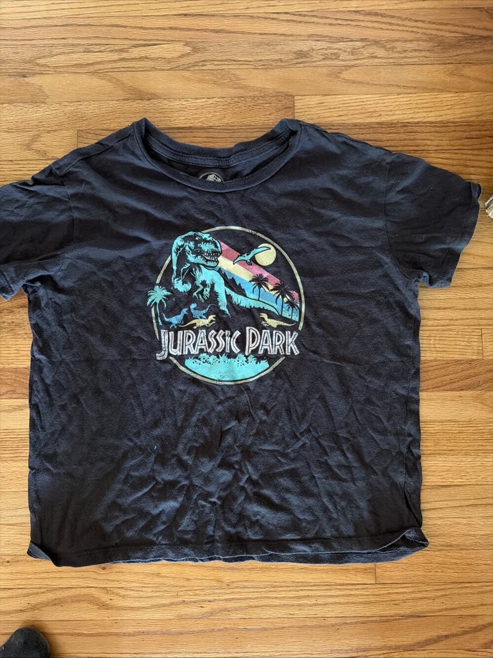 Jurassic Park Graphic Tee Womens L Gray Short Sleeve Casual Retro Dinosaur
